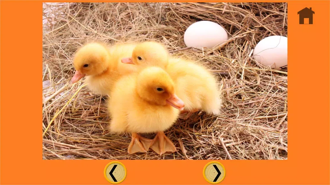 my favorite farm animals - free應用截圖
