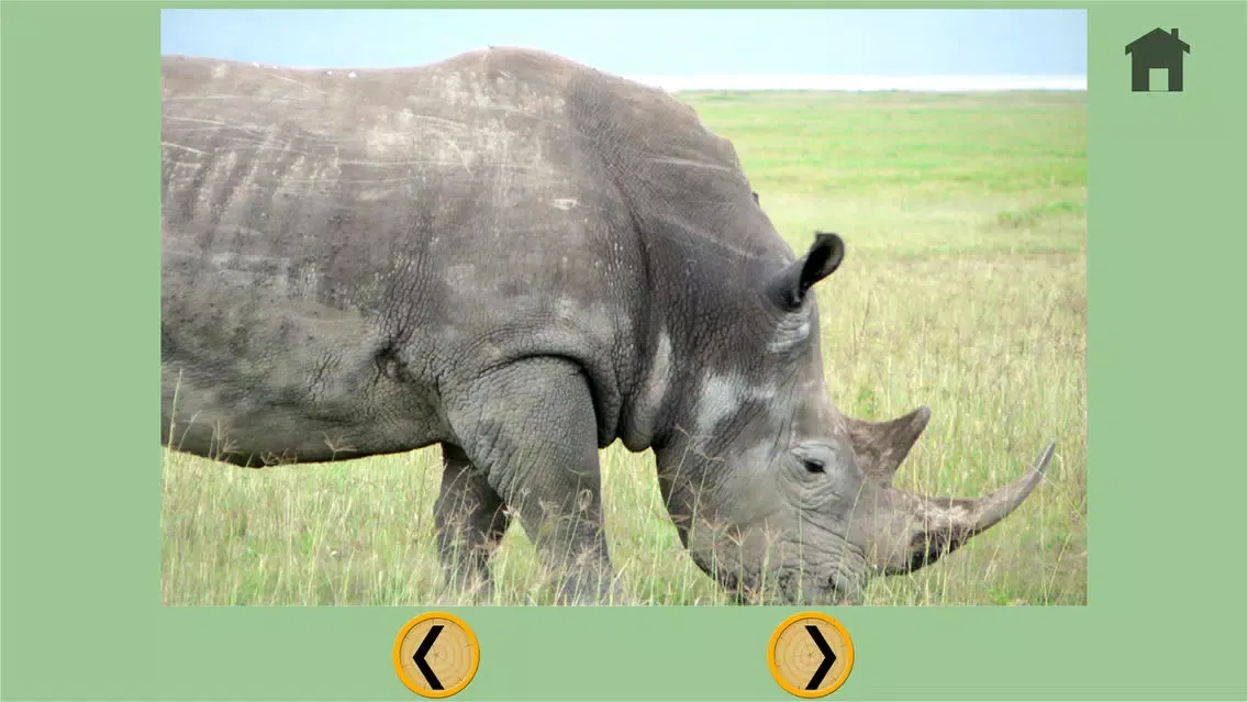 Capturas de pantalla de my favorite jungle animals - free game