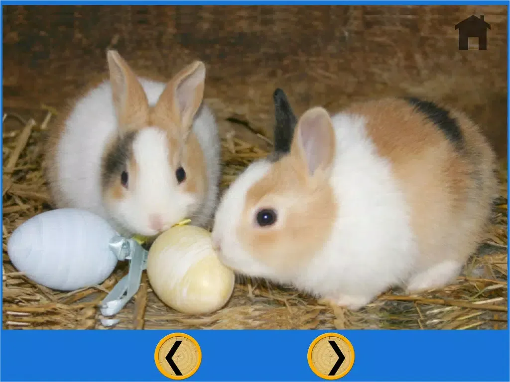 Скриншоты my favorite rabbits - free game iPad 