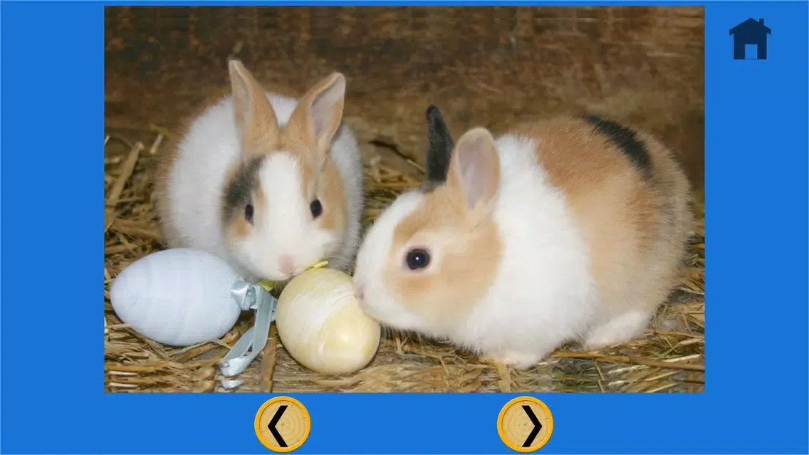 Скриншоты my favorite rabbits - free game
