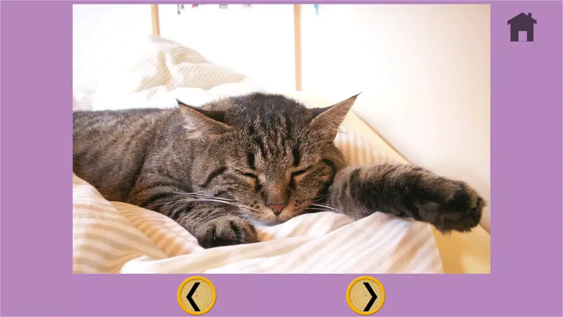 my kids and cats - free game Screenshots