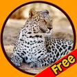 prodigious jungle animals for kids - free prodigious jungle animals for kids - free