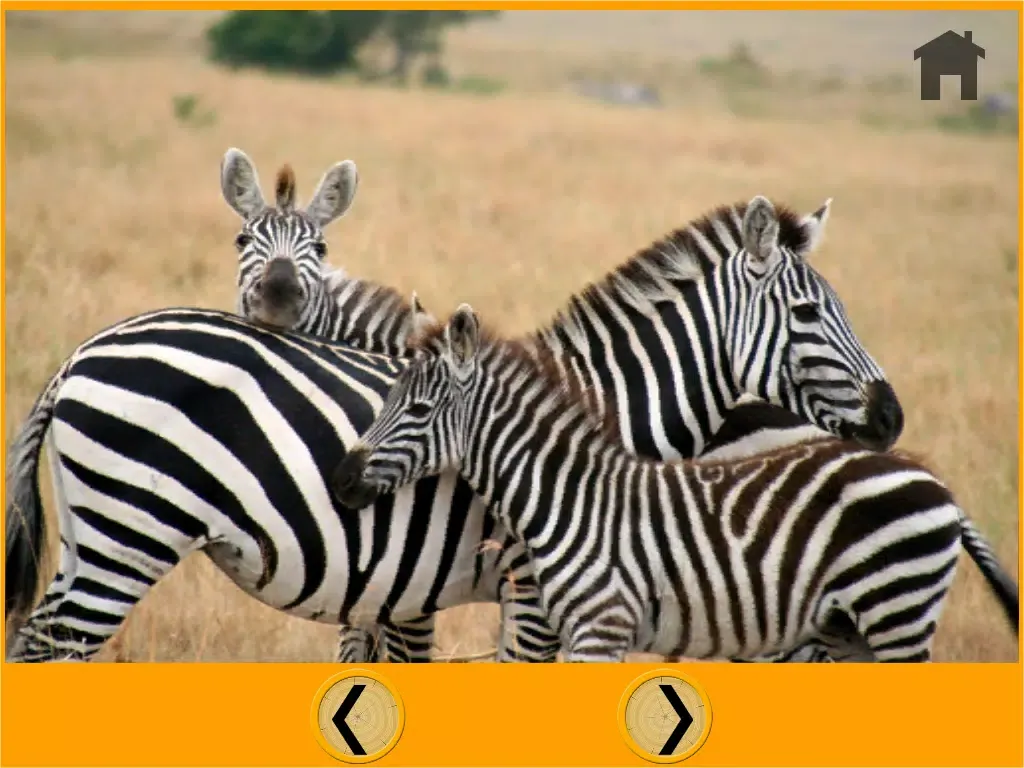 prodigious jungle animals for kids - free iPad  سکرین شاٹس