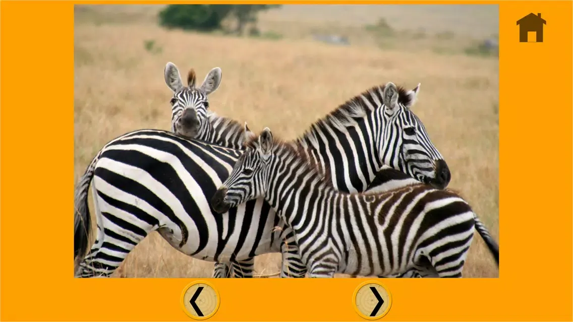 prodigious jungle animals for kids - free سکرین شاٹس