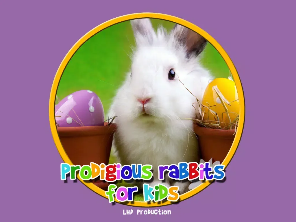 prodigious rabbits for kids - free iPad 应用截图