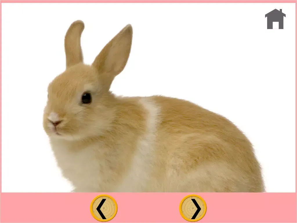 Capturas de tela do rabbits and my kids - free game iPad 