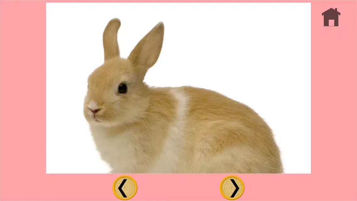 Capturas de tela do rabbits and my kids - free game