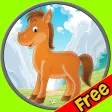 splendid horses for kids - free