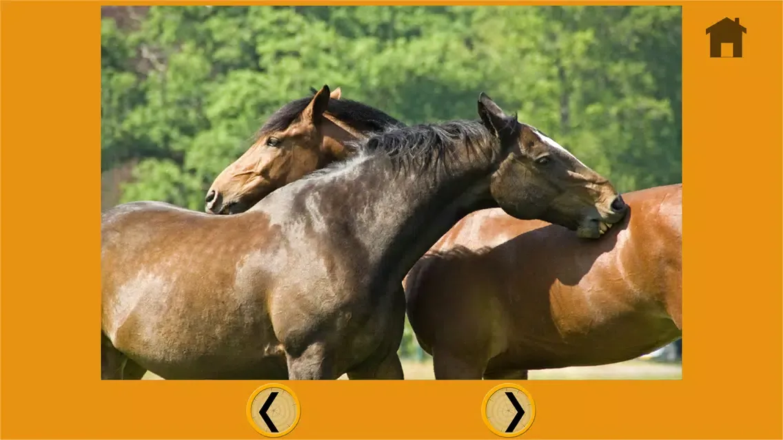 talented horses for kids - free スクリーンショット