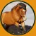 talented horses for kids - no ads