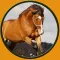 talented horses for kids - no ads