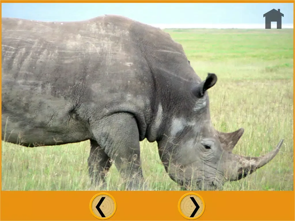 Ảnh chụp màn hình của talented jungle animals for kids - free iPad