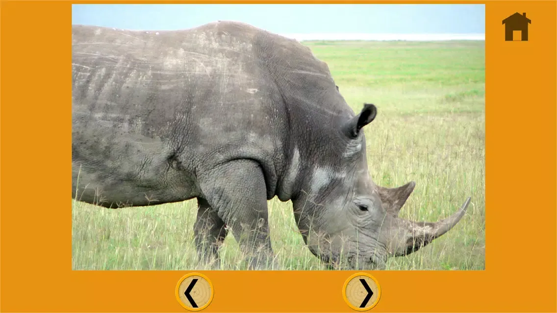 Ảnh chụp màn hình của talented jungle animals for kids - free