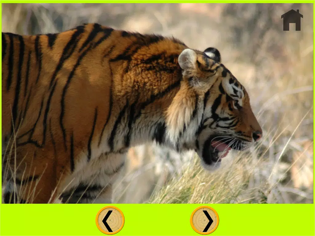 Captures d'écran de verry funny jungle animals for kids - free iPad 