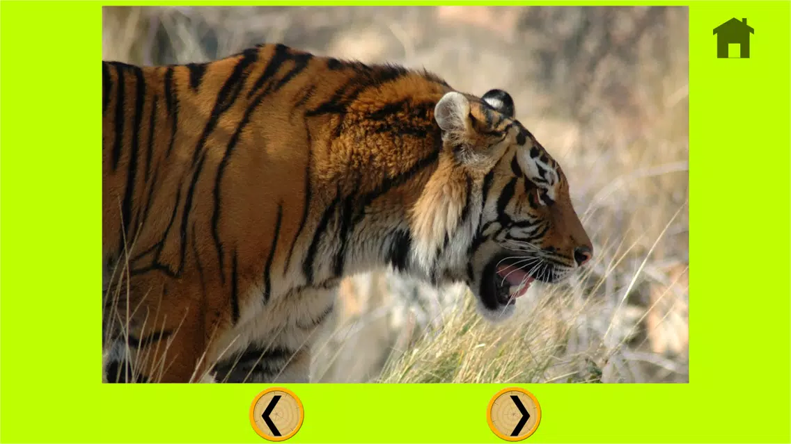 Captures d'écran de verry funny jungle animals for kids - free