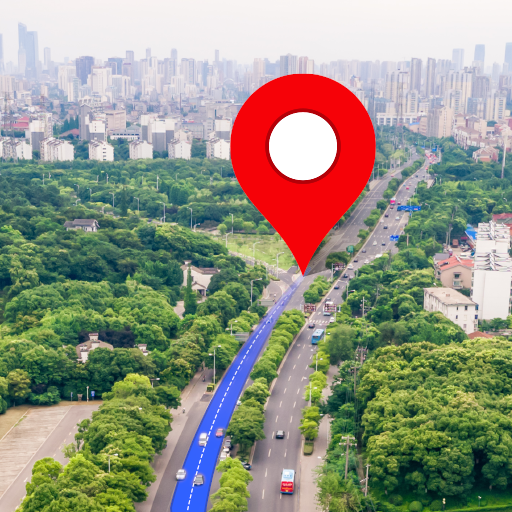 Live Satellite Map Street View