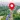 Live Satellite Map Street View