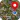 Live Earth Map