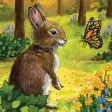 Children’s Spirit Animal Cards Children’s Spirit Animal Cards