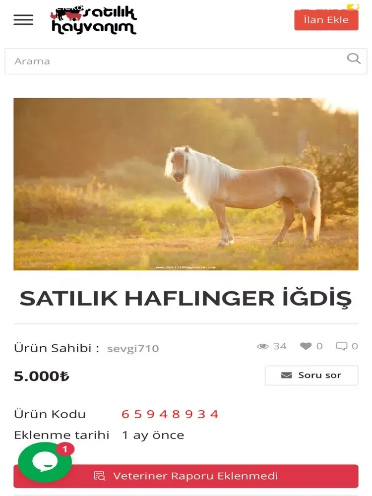 Satılık Hayvanım iPad  स्क्रीनशॉट