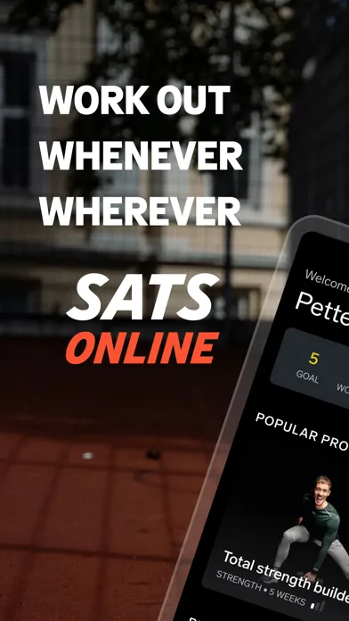SATS Online Screenshots