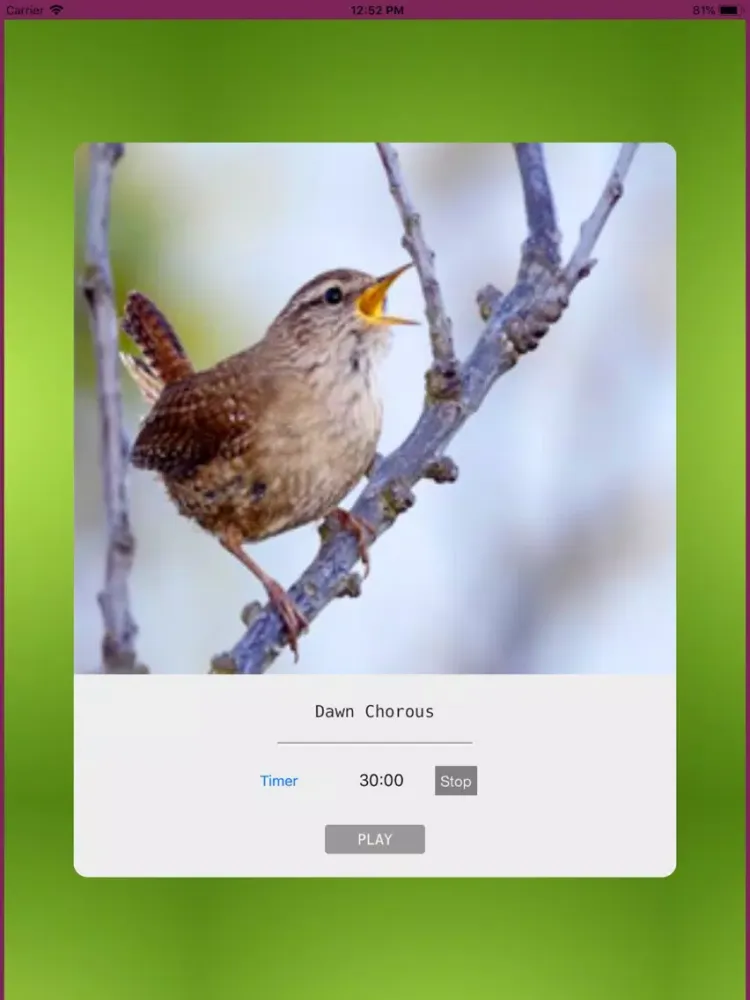 Meditation - Relax Sounds iPad  스크린샷
