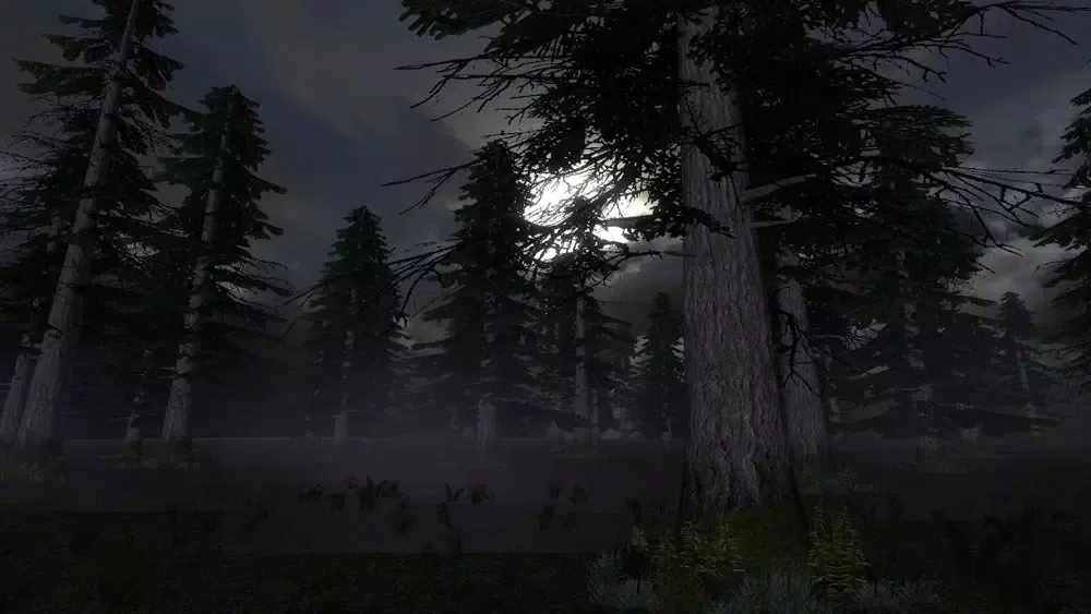 Tangkapan skrin Chrismas Mystery Forest Game