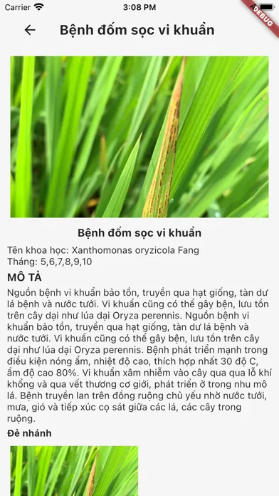 Quản lý sâu bệnh hb應用截圖