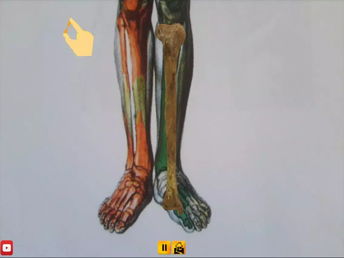 Capturas de pantalla de Ankle iPad 
