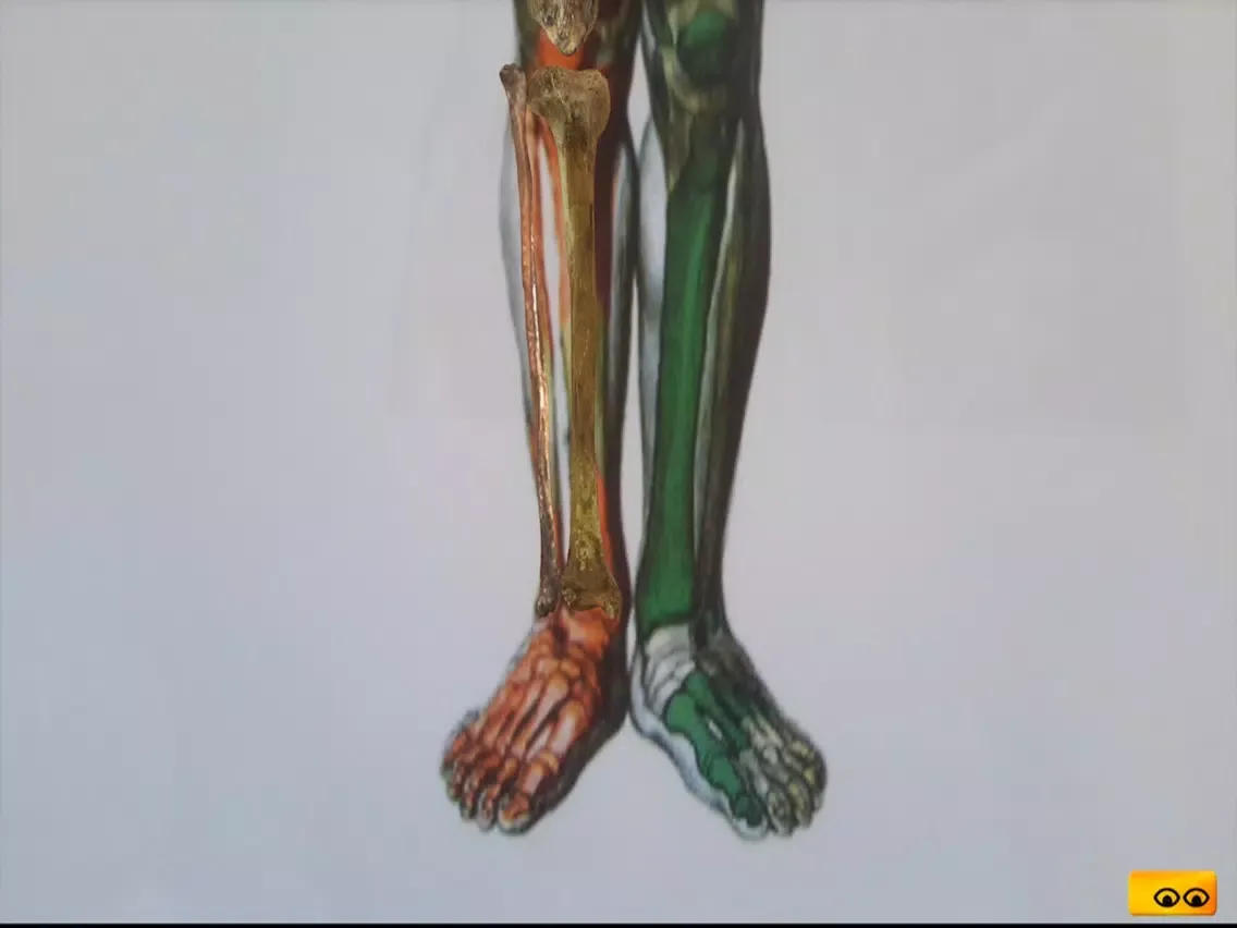 Capturas de pantalla de Ankle iPad 