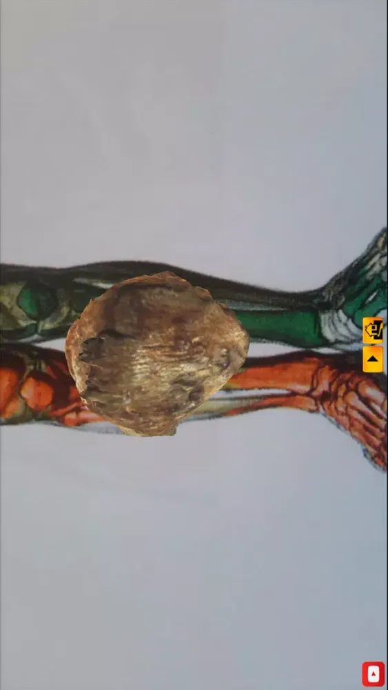 Capturas de pantalla de Ankle