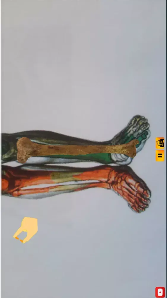 Capturas de pantalla de Ankle