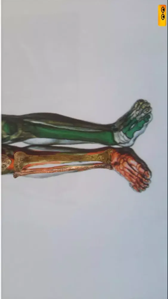Capturas de pantalla de Ankle