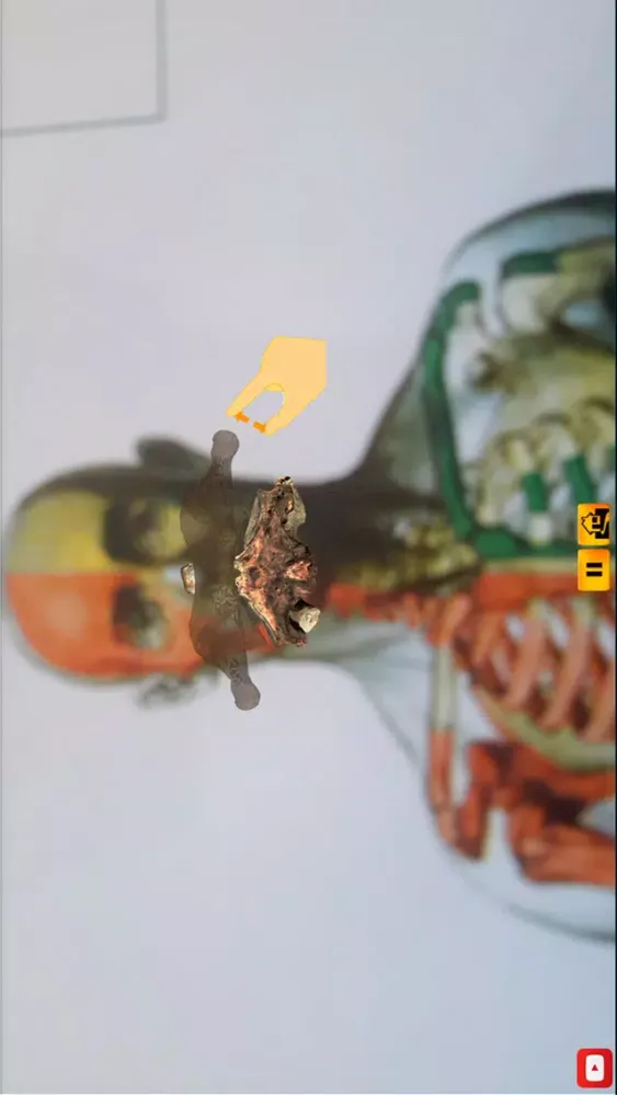 Cervical 스크린샷