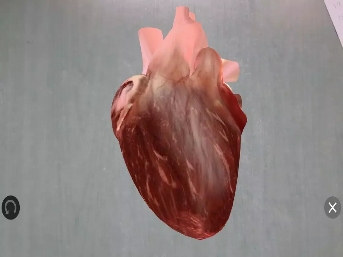 Capturas de tela do Heartarus iPad 