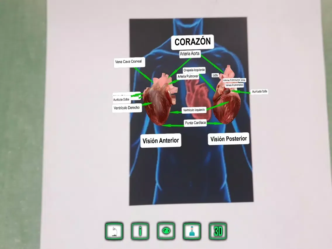 Capturas de tela do Heartarus iPad 