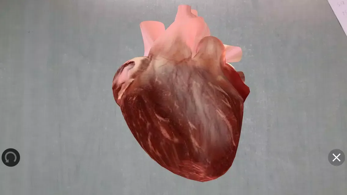 Capturas de tela do Heartarus