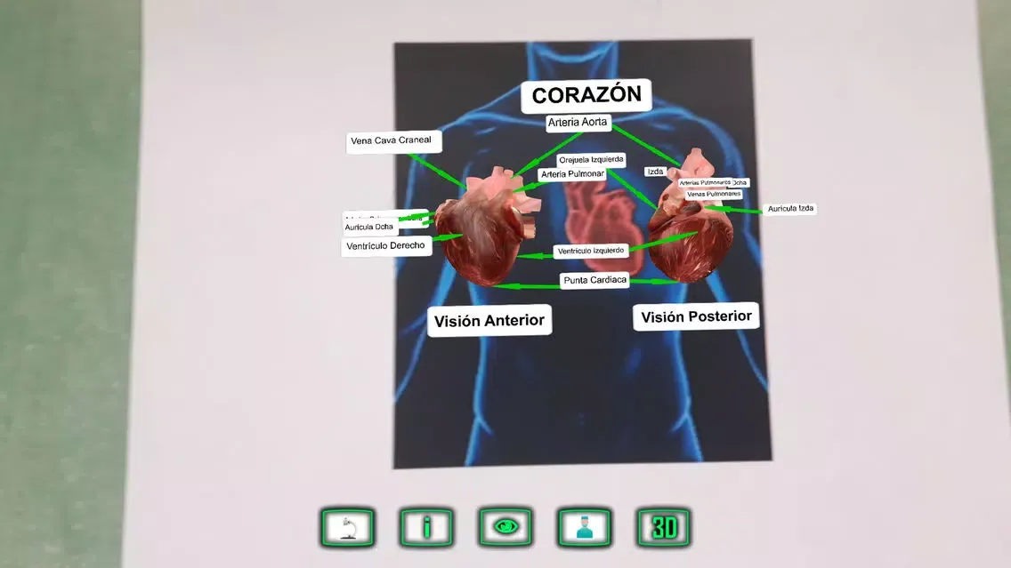 Capturas de tela do Heartarus