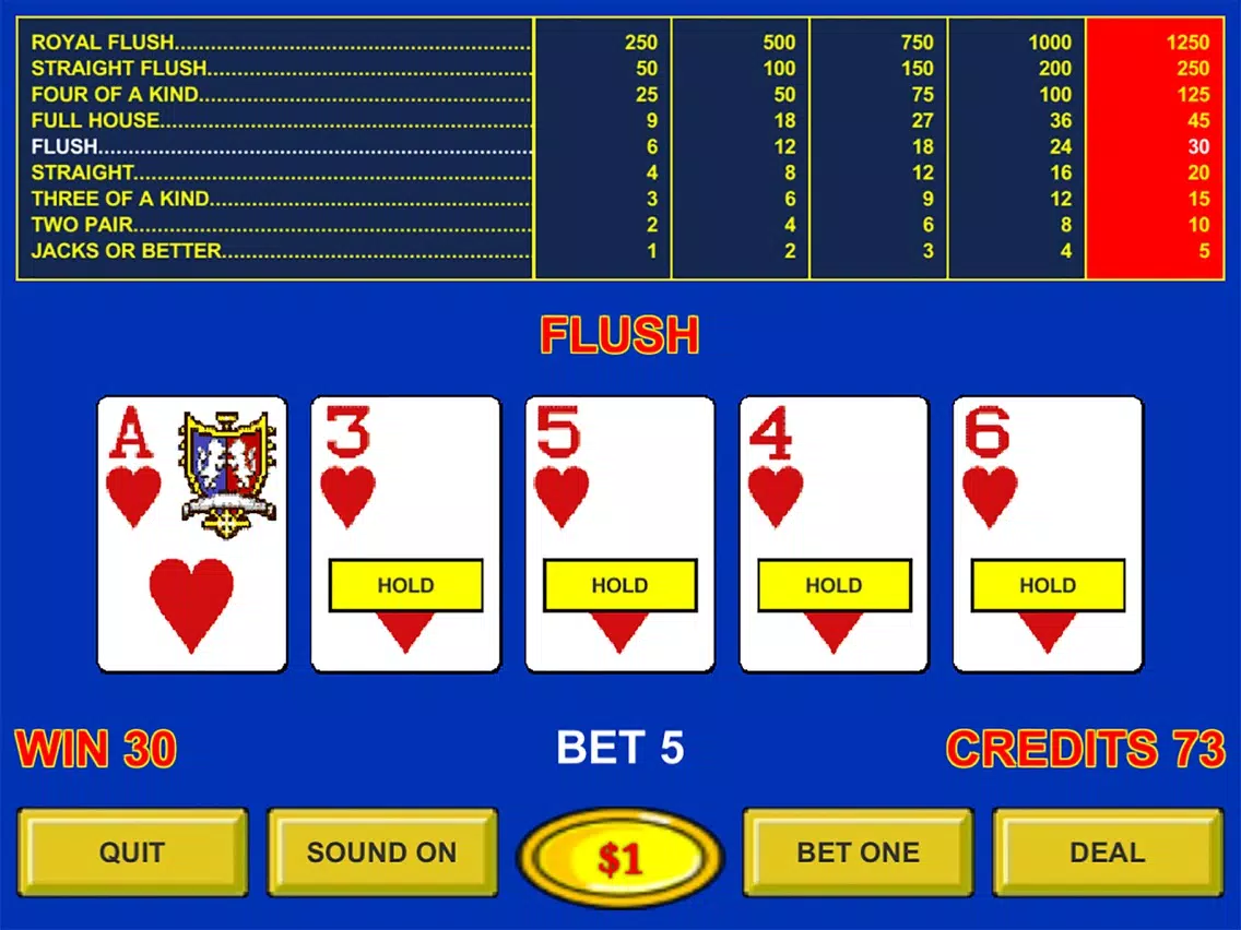 Jacks Or Better - Casino iPad 应用截图