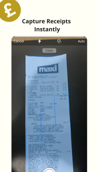 Tangkapan layar ReceiptSight: Expense Tracker