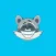 Raccoon - Stickers for iMessage
