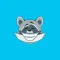 Raccoon - Stickers for iMessage
