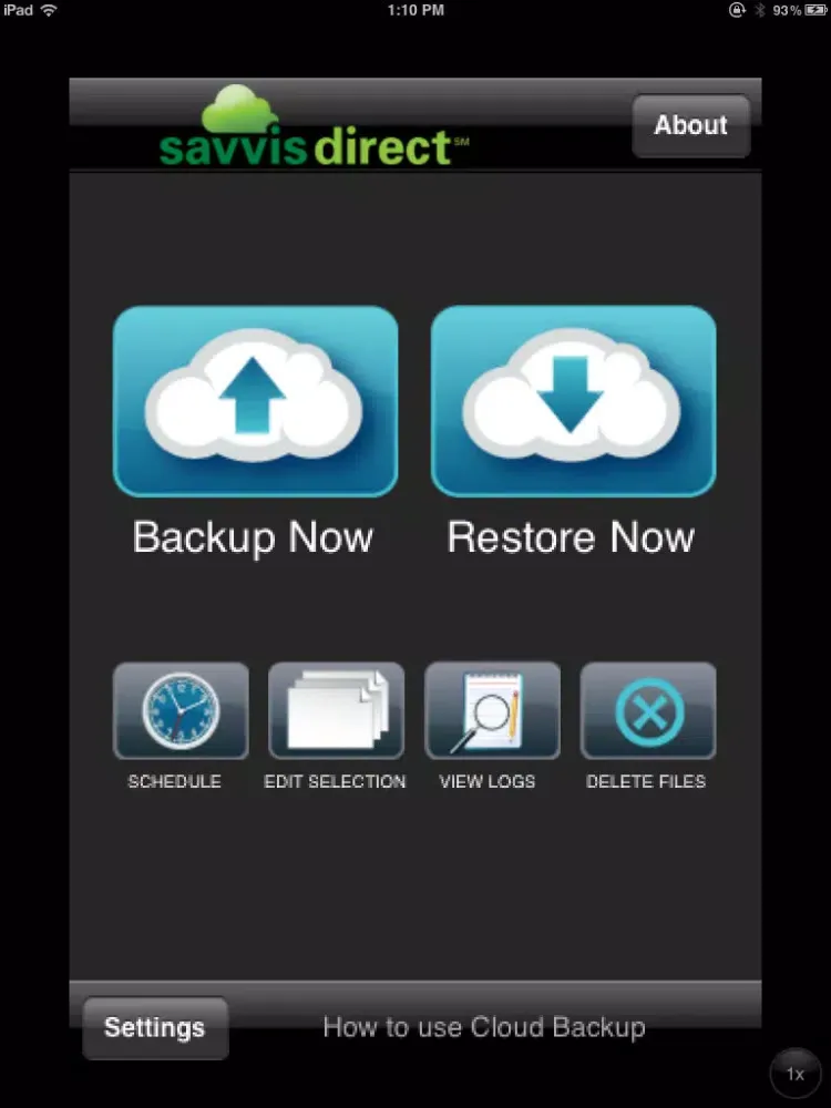 Savvisdirect Secure Online Backup iPad 应用截图