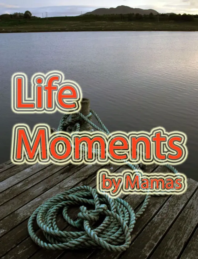 Captures d'écran de Wallpapers - Life Moment iPad 