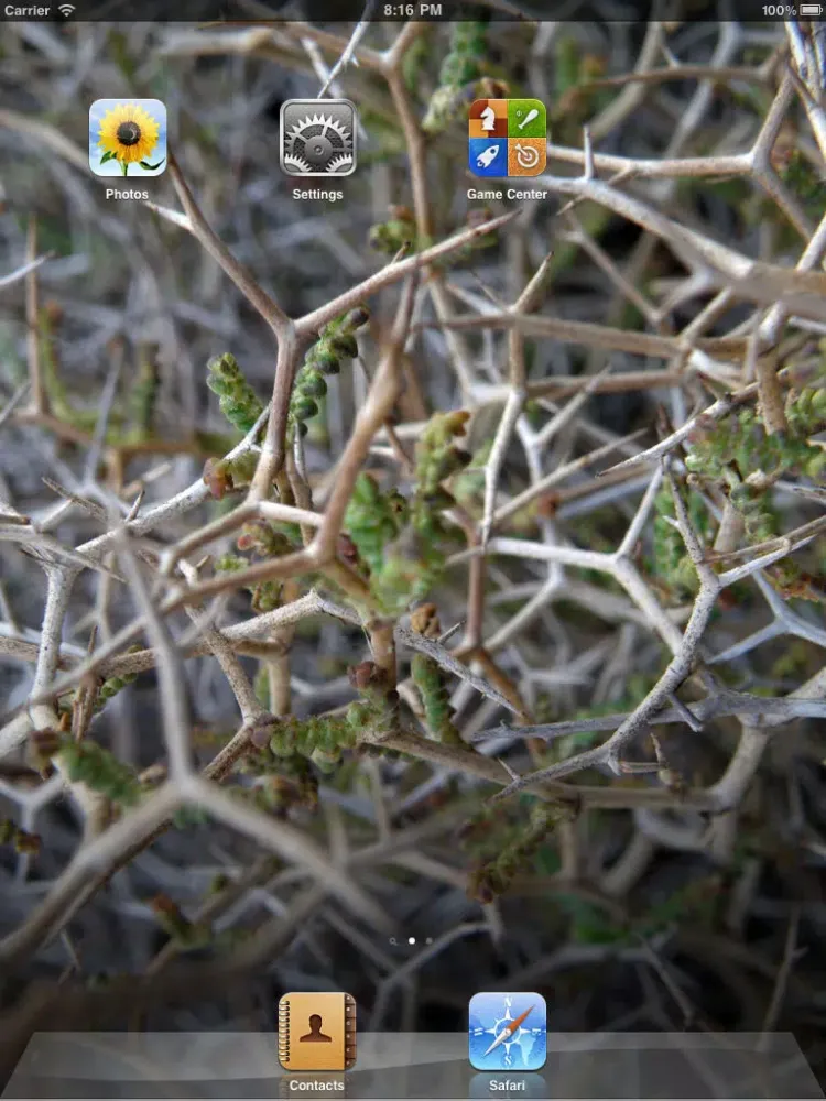 Captures d'écran de Wallpapers - Silent Nature iPad 