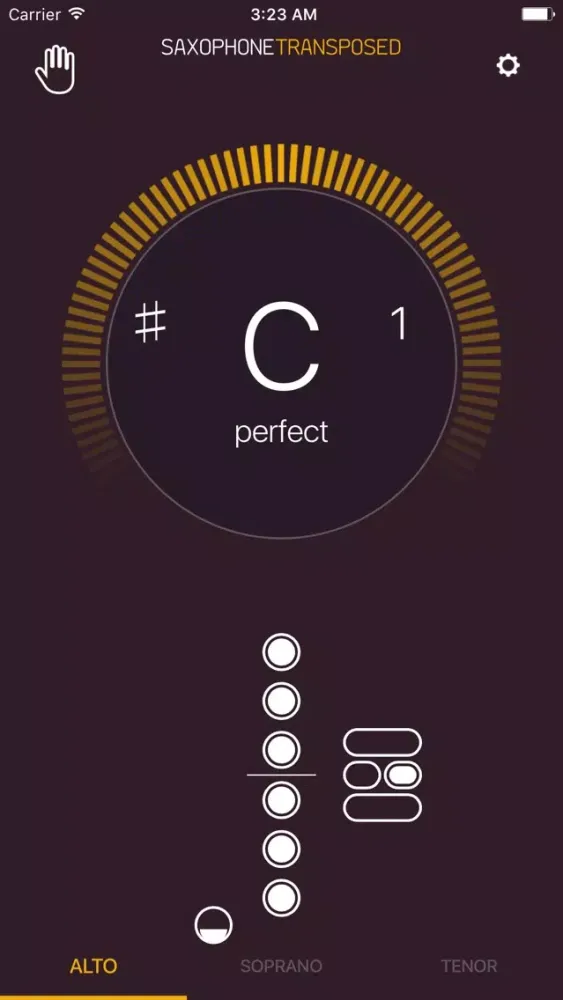 ภาพหน้าจอของ Saxophone Transposed