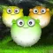 Splashy Flappy Blow Fishes: Grow Yellow Fins Goldfish & fill up the sea while avoid sea urchin