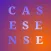 Case Sense