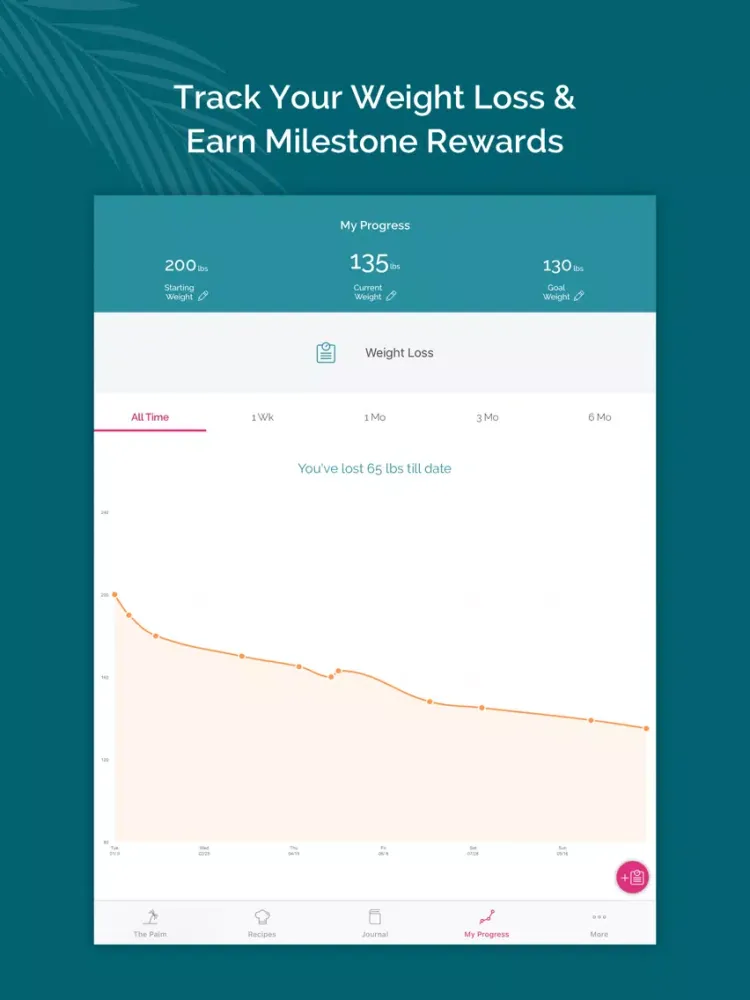 South Beach Diet Tracker iPad  Screenshots