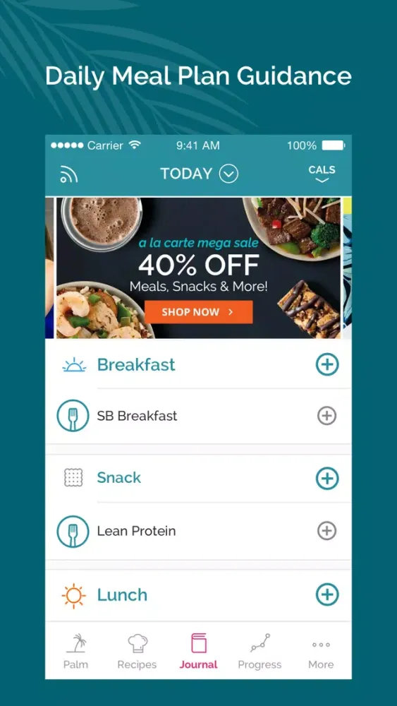 South Beach Diet Tracker Screenshots